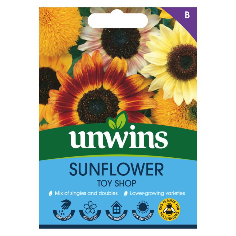 5051618012348 1 Sunflower Toyshop Seeds.jpg